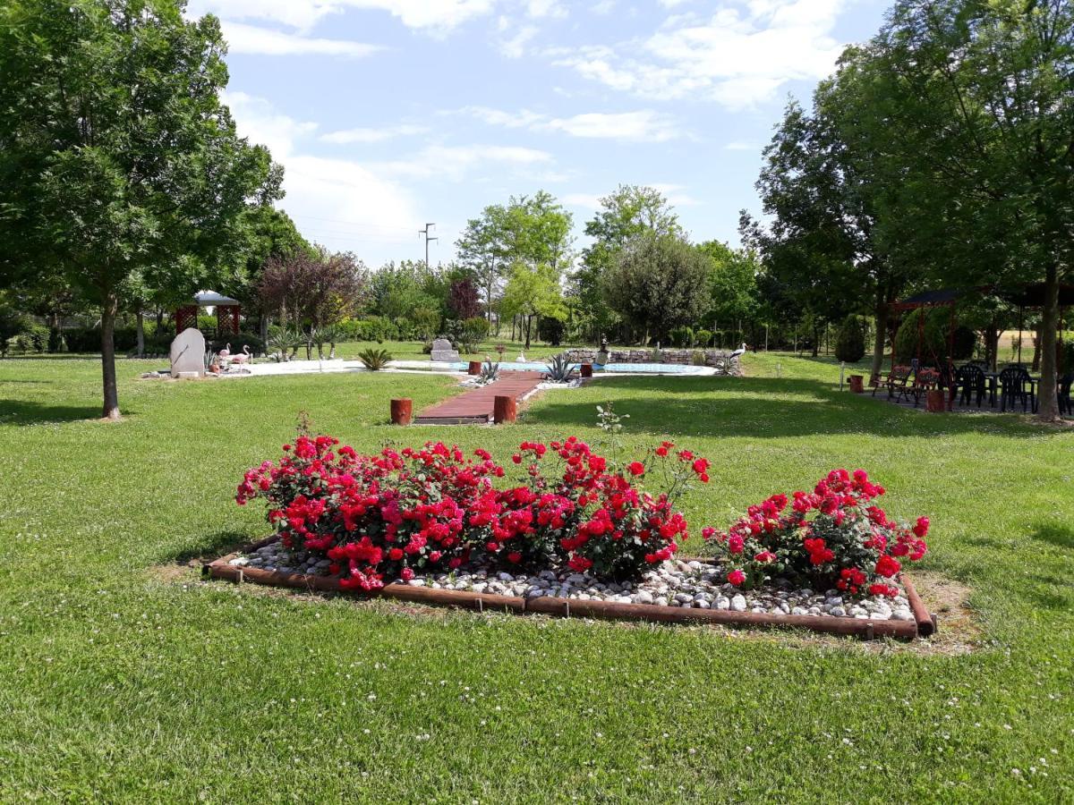 Dogana Vecchia - Hotel & Residence B&B Ristorante & Pizzeria Тривиньяно-Удинезе Экстерьер фото