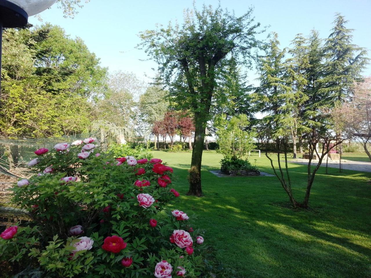 Dogana Vecchia - Hotel & Residence B&B Ristorante & Pizzeria Тривиньяно-Удинезе Экстерьер фото